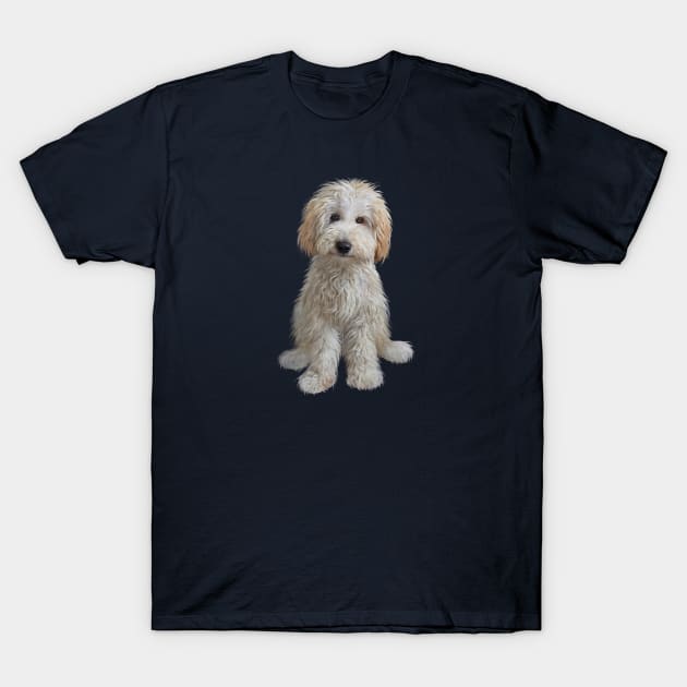 A Cream Colored Labradoodle Puppy - Just the Dog T-Shirt by Dogs Galore and More